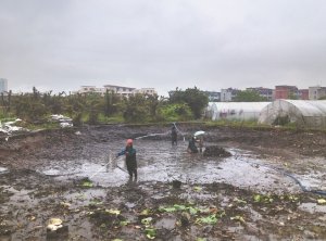 渝中河道鱼塘清淤